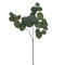 Vickerman 28" Artificial Green Silver Dollar Populus Eucalyptus Spray. 2 Sprays In A Bag.